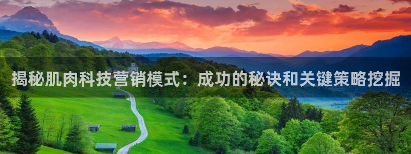 金年会体育app官网入口下载