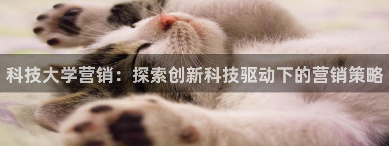 金年会app是不是钓鱼软件