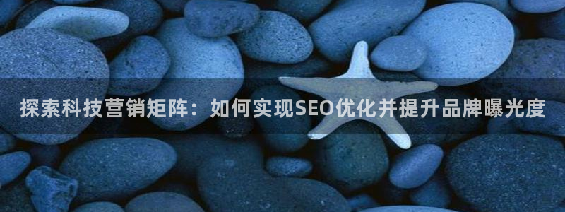 金年会体育app下载官网苹果
