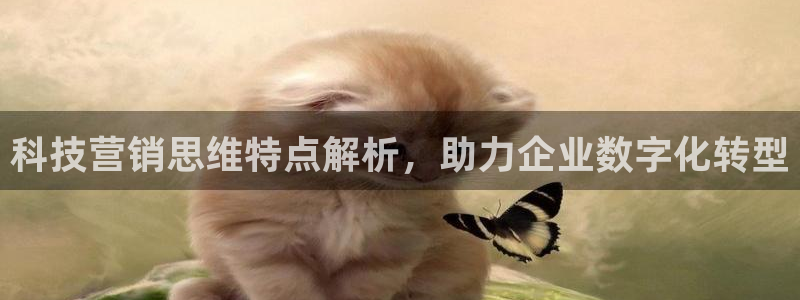 金年会体育app入口