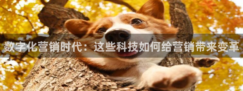 金年会官方在线