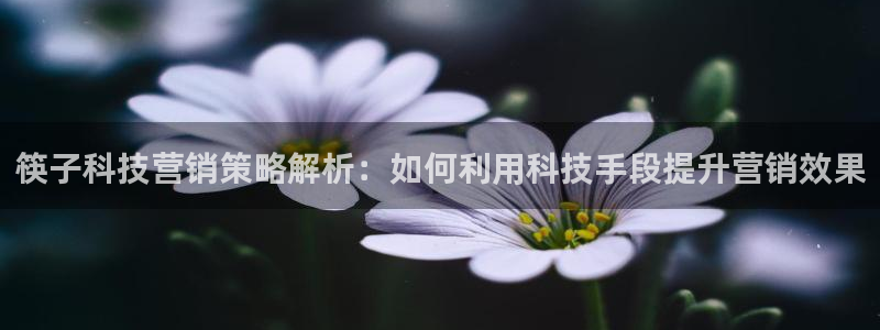 金年会体育手机app下载官网苹果