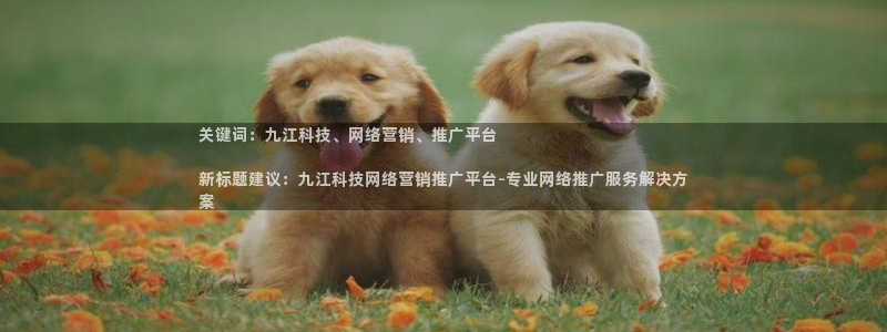 金年会官方体育