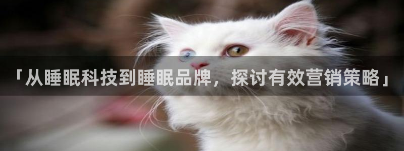 金年会体育app最新官网入口