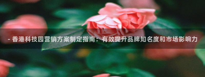 金年会体育在线登陆入口