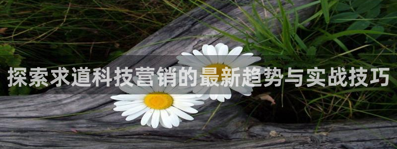 金年会体育出款审核七天