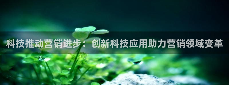 金年会电子游戏怎么玩