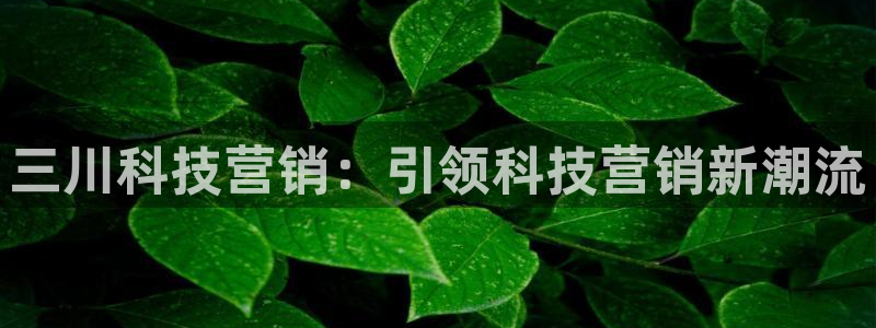 金年会体育app官网下载