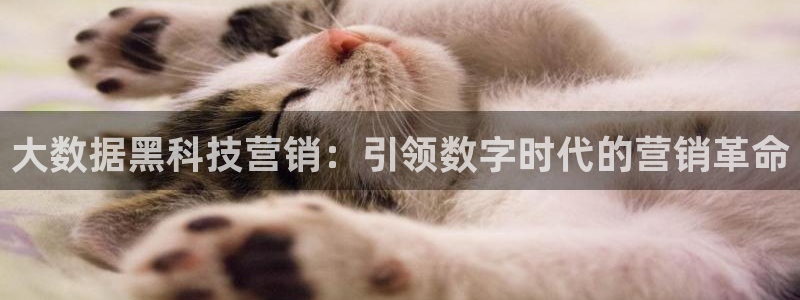 金年会VIP