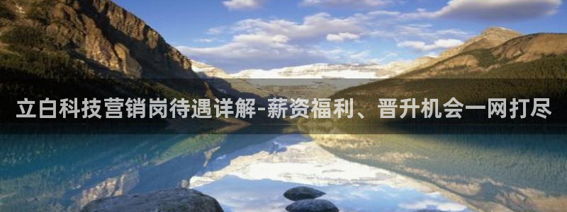 金年会下载安卓