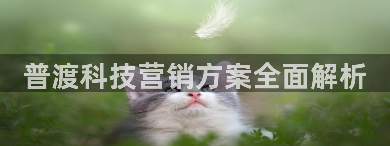 金年会在线入口登陆