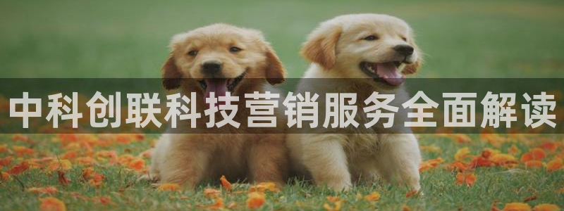 金年会官方在线入口网站下载