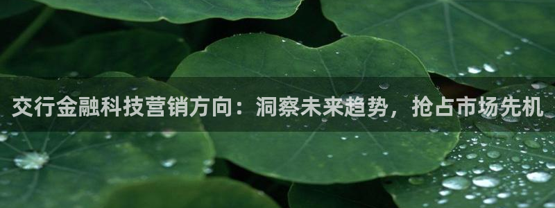 金年会网站洗黑钱