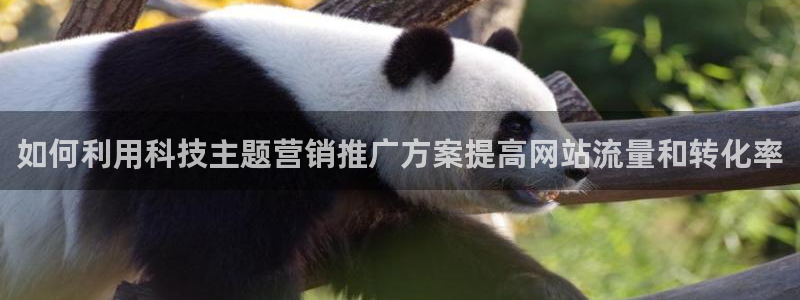 金年会体育app官网入口下载