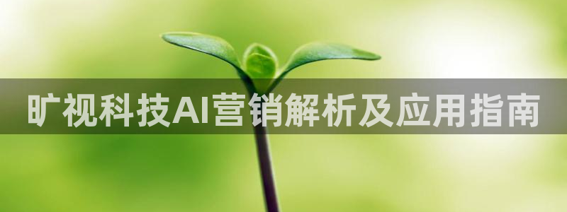 金年会入口