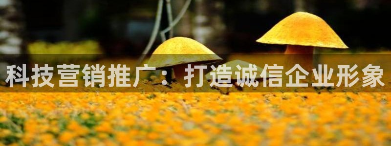 金年会下载官方网站