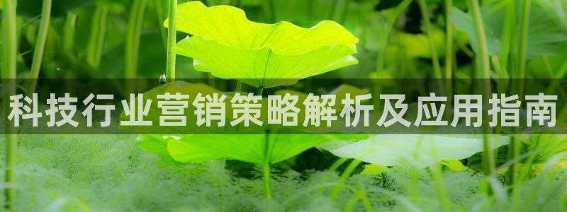 金年会体育手机app下载官网最新版