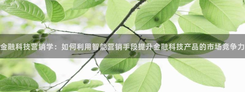 金年会体育买球app下载