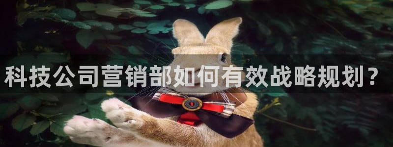 金年会官方平台