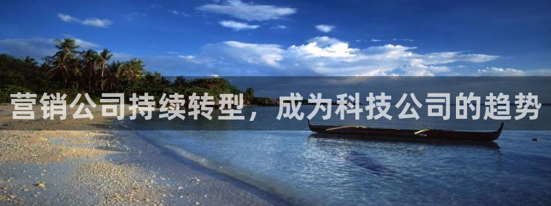 金年会平台是黑网还是白网