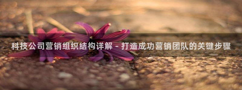 金年会sports