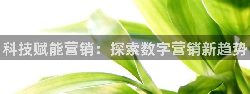 金年会官方在线登录网址是多少