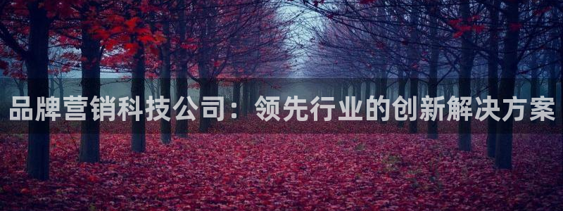 金年会网站