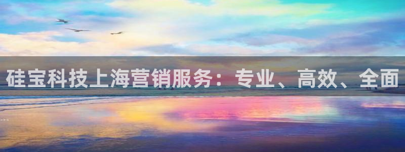金年会官方在线入口网站2023
