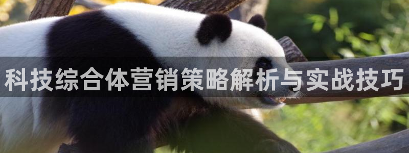 金年会官方娱乐app下载安装