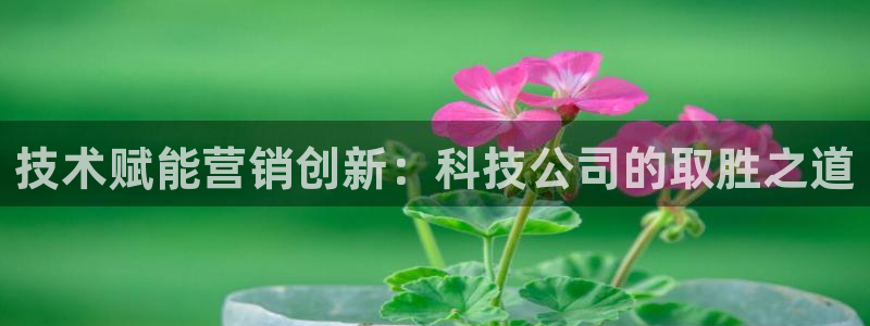 金年会官方在线登录