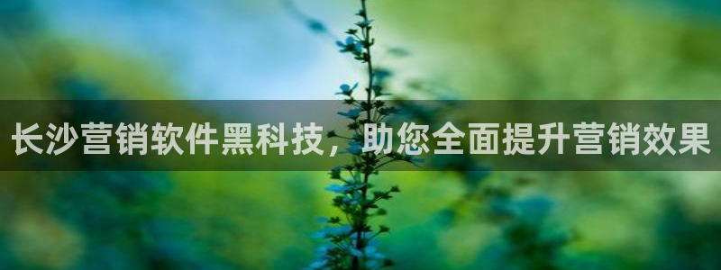 金年会体育平台官网app