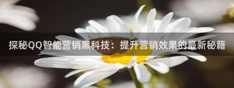 金年会平台官网
