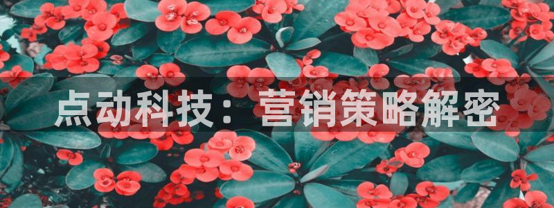 金年会体育app下载官网苹果