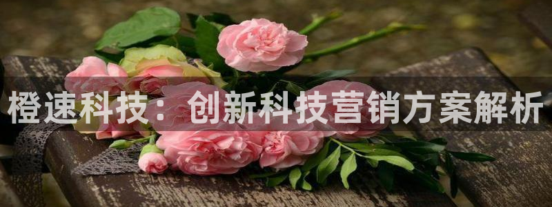 金年会体育app平台怎么样