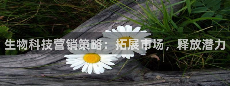 金年会 金字招牌诚信至上