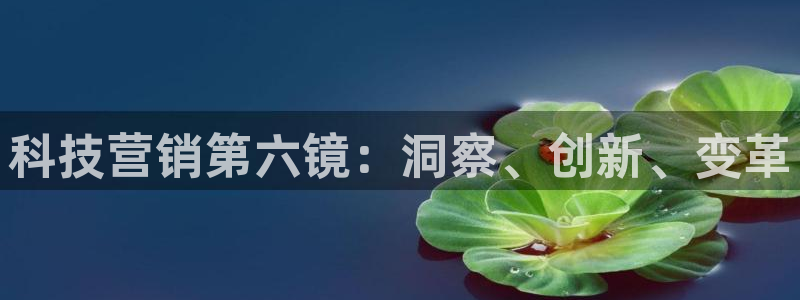 金年会体育是诈骗