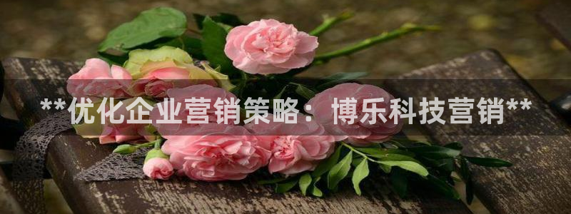 金年会vip888