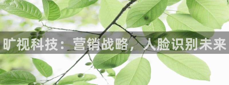 金年会下载哪个买球赛