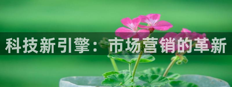 金年会