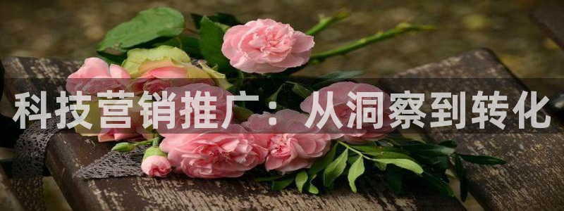 金年会金字招牌至上用了多少钱?