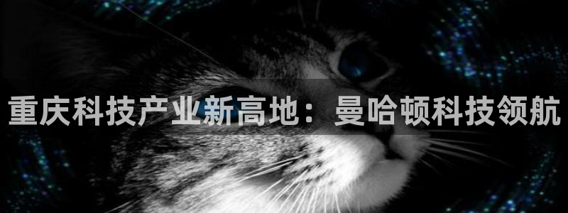 金年会网站提现一直显示审核当中怎么办