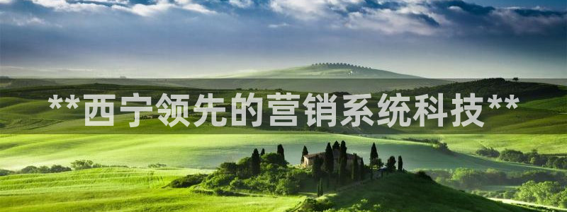 金年会平台怎么样