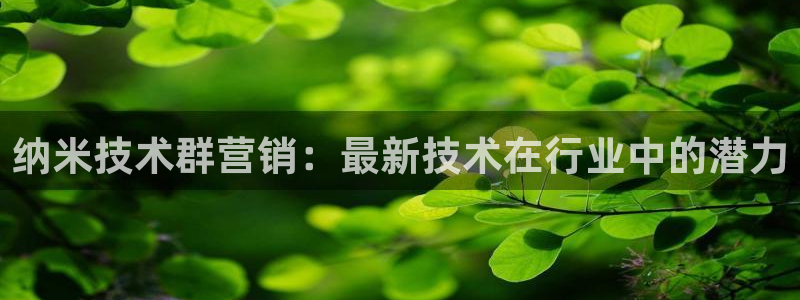 金年会体育全站app