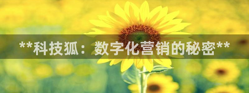 金年会官方