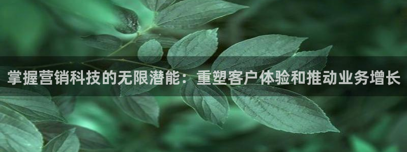 金年会电子官网下载
