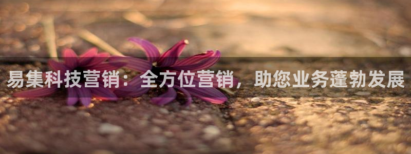 金年会sports