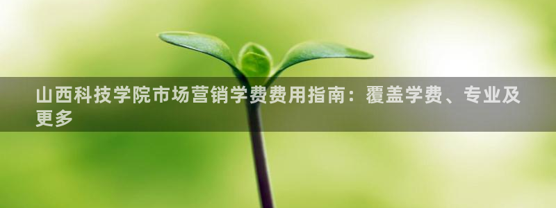 金年会 金字招牌诚信至上在线