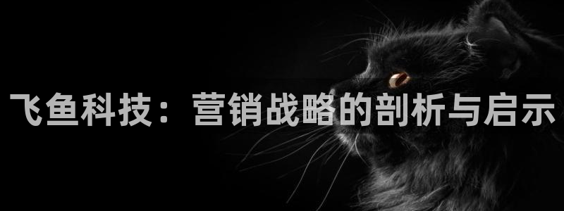 金年会下载哪个买球赛