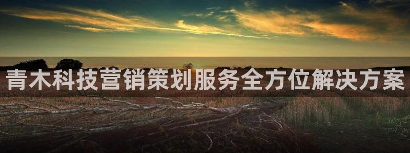 金年会网站拒绝出款怎么解决?