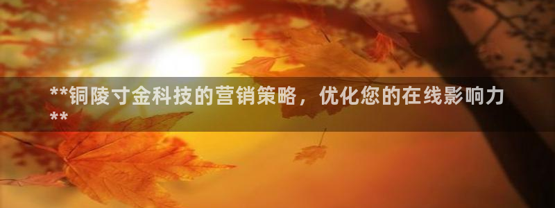 金年会官方新入口